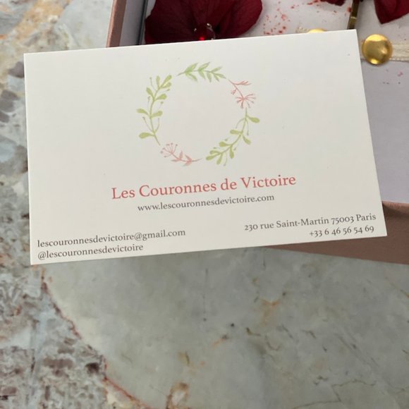 NIB LES COURONNES DE VICTOIRE  Ana Hairpins - Picture 4 of 5